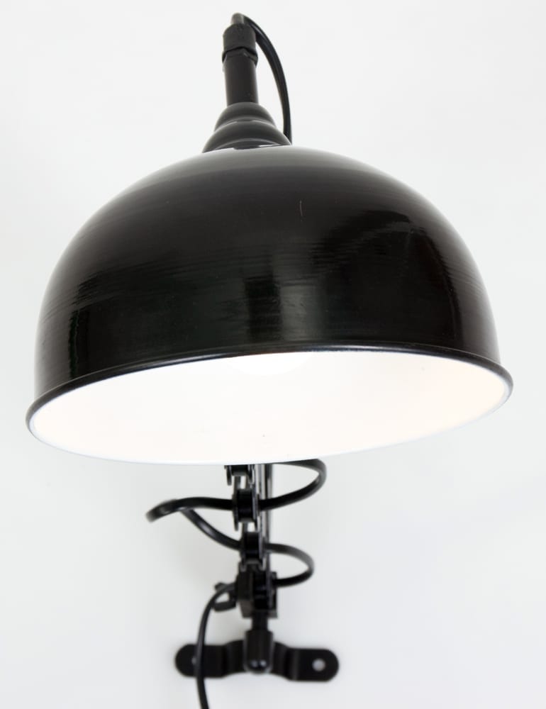 Inhalen Massage wenkbrauw Uitrekbare schaarlamp Steinhauer Yorkshire zwart - Directlampen