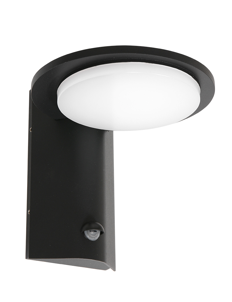 functie oud vergaan LED schotel buitenlamp met sensor Steinhauer Luzon zwart - Directlampen.nl