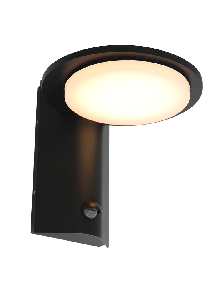 uitgebreid Verbetering knal LED schotel buitenlamp met sensor Steinhauer Luzon zwart - Directlampen.nl