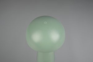 groene-binnenbuiten-tafellamp-paddenstoelvorm-oplaadbaar-reality-lennon-r52176149-1