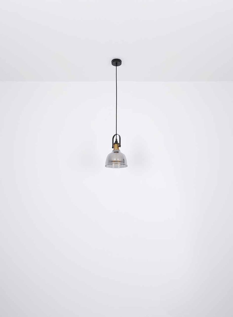 hanglamp-metaal-industrieel-zwart-globo-dorothea-15558h1-4