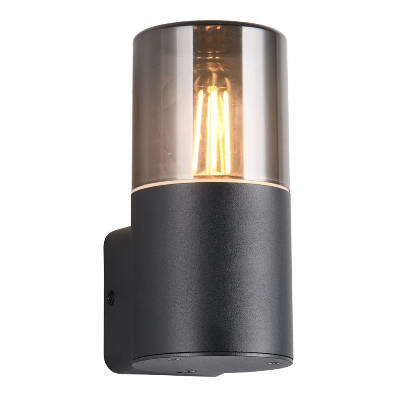 moderne-zwarte-rookglazen-wandlamp-trio-leuchten-hoosic-224060132