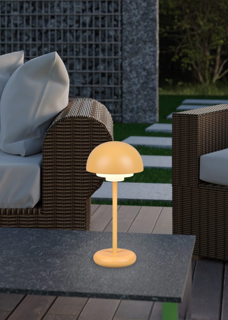 3d rendering of rattan garden furniture on wooden patio at garden in the evening sunshine